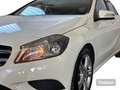Mercedes-Benz A 160 A 160 CDI Executive Blanc - thumbnail 3