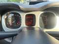 Fiat Panda Panda 1.3 mjt 16v Cross 4x4 80cv Bianco - thumbnail 9