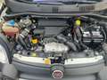 Fiat Panda Panda 1.3 mjt 16v Cross 4x4 80cv Bianco - thumbnail 10