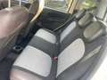 Fiat Panda Panda 1.3 mjt 16v Cross 4x4 80cv Bianco - thumbnail 13