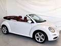 Volkswagen New Beetle 1.9 TDI 105 Cabrio Lim. Red Edt. Bianco - thumbnail 3
