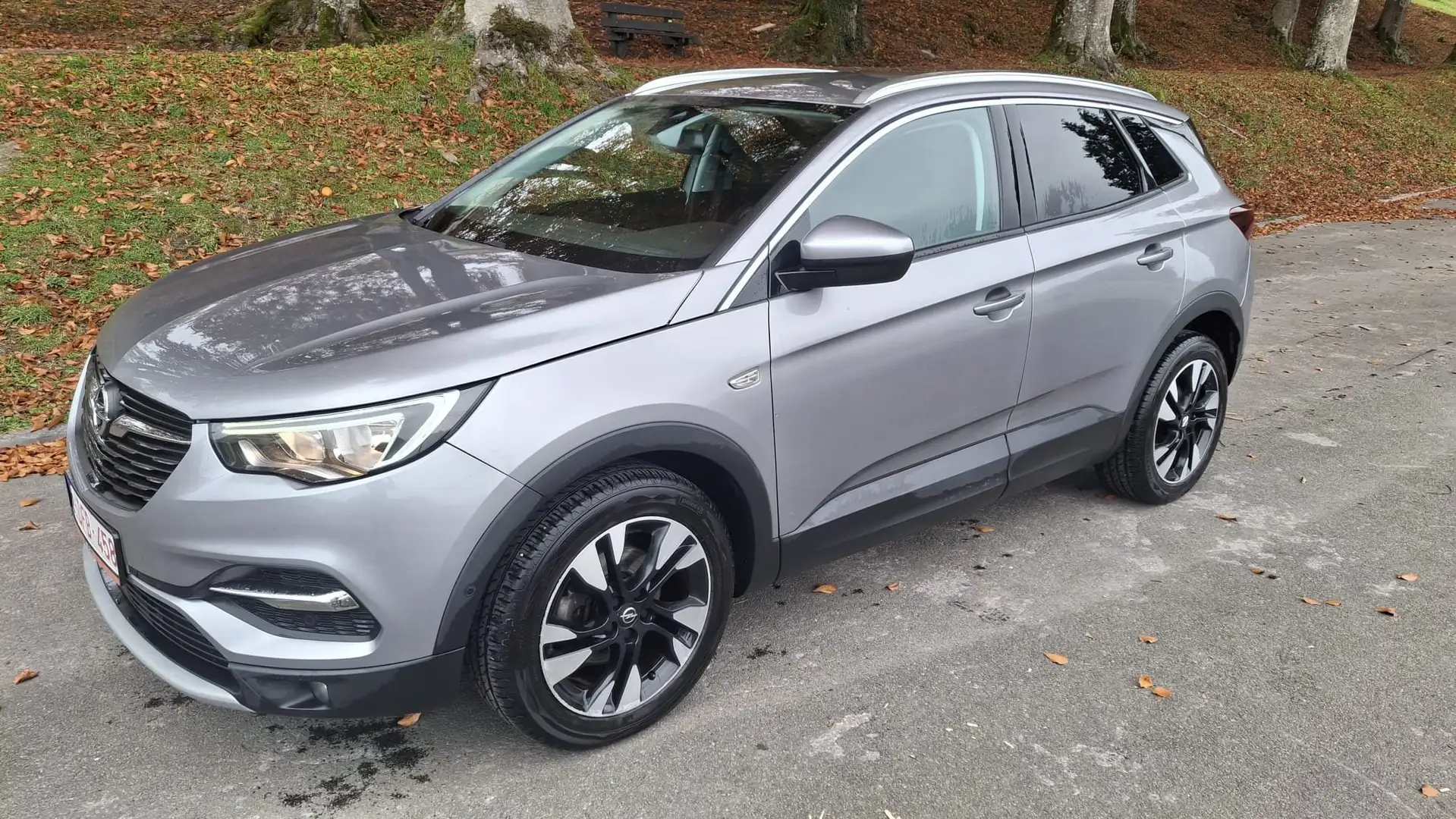 Opel Grandland X Grandland X 1.2 Turbo Ultimate S Zilver - 1
