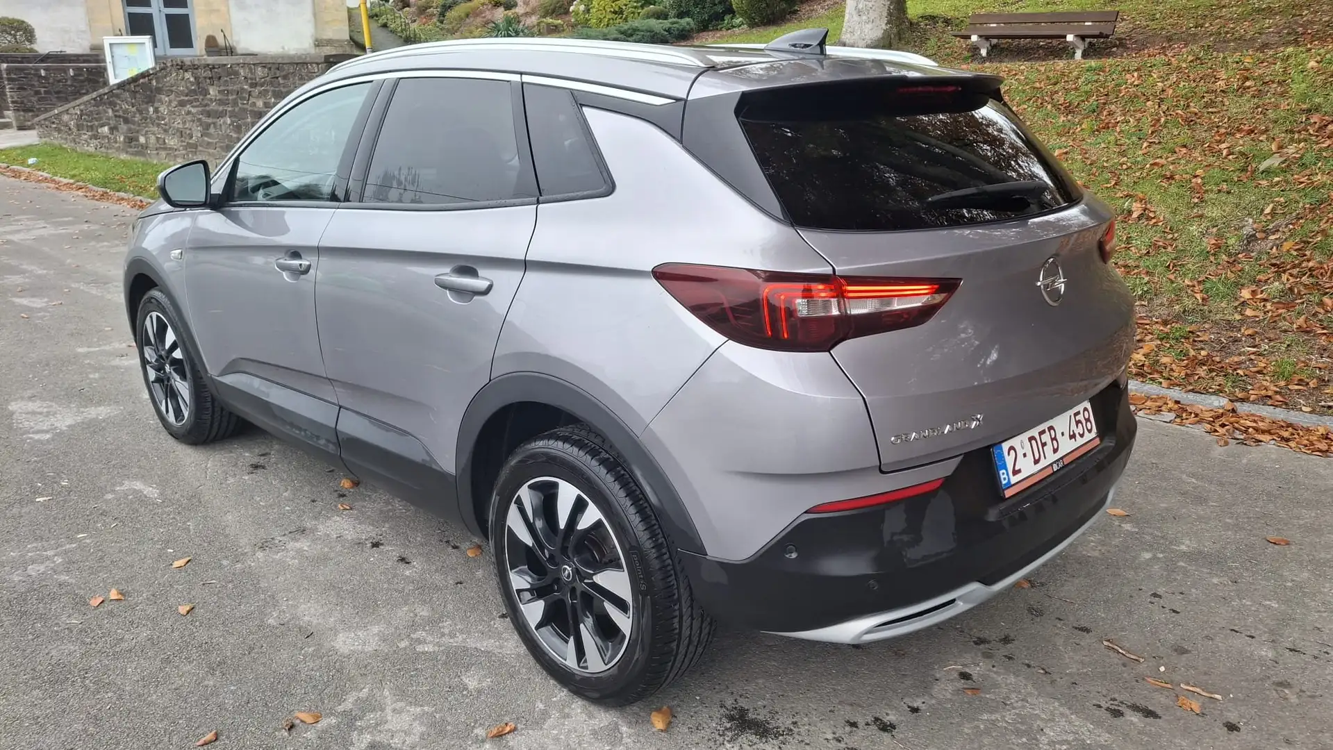 Opel Grandland X Grandland X 1.2 Turbo Ultimate S Zilver - 2