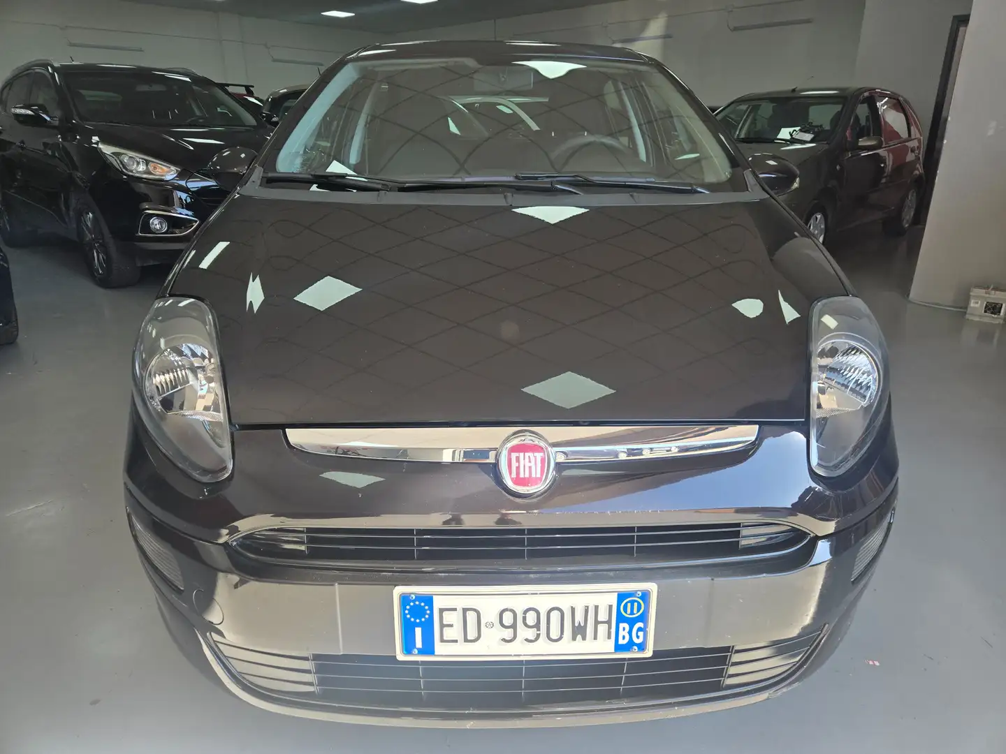 Fiat Punto Evo Punto III 2009 Evo 5p 1.2 Active s Nero - 2