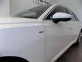 Audi A6 Avant 40 TDI S-tronic S-Line NAVI AHK Sportpack Білий - thumbnail 10
