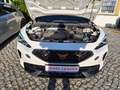 CUPRA Formentor 1,5 DSG/ACC/LED/19"/NAVI/SH Blanc - thumbnail 20