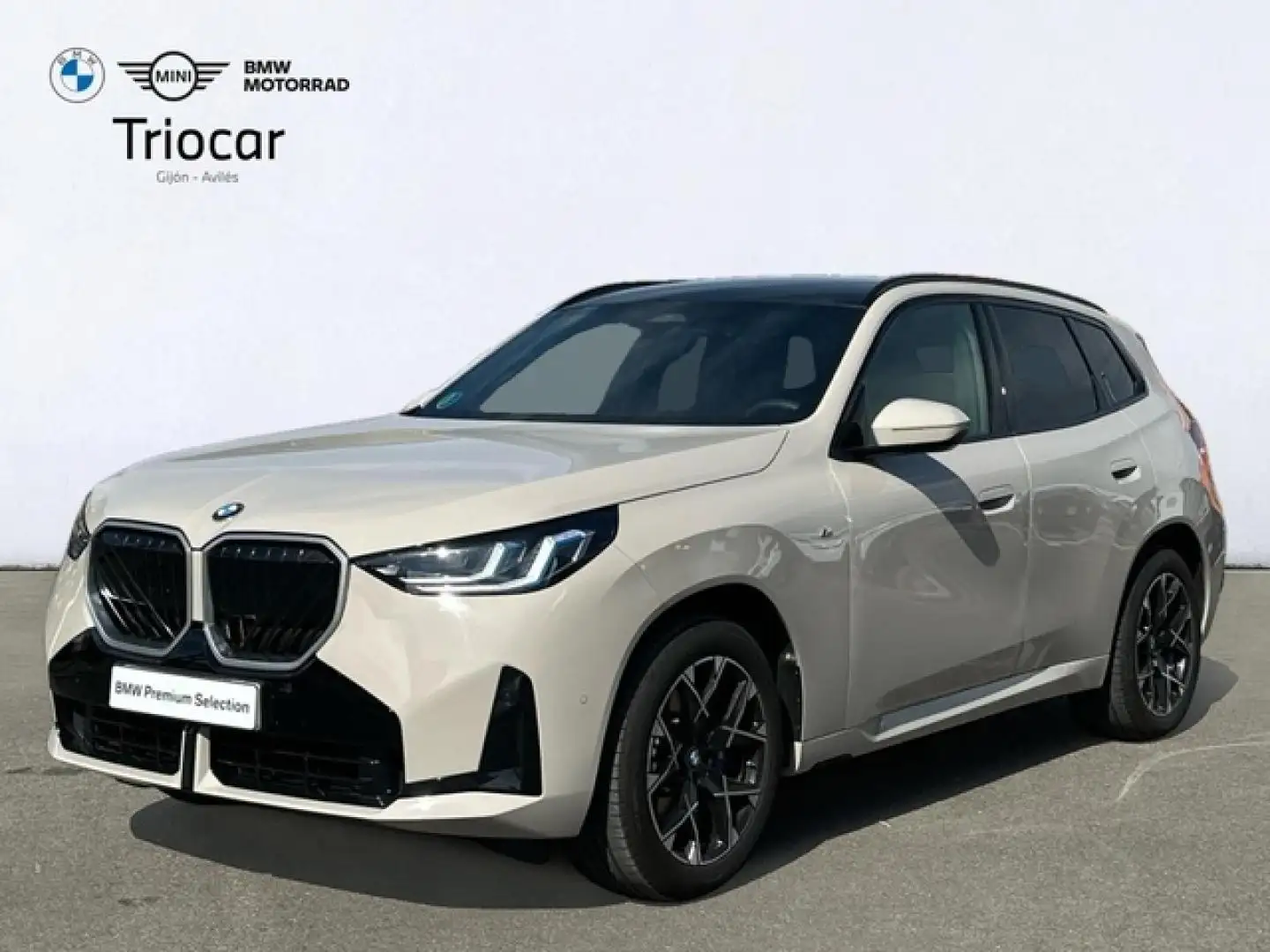 BMW X3 xDrive 20dA Gris - 1