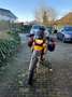BMW F 650 GS Dakar Dakar Jaune - thumbnail 2