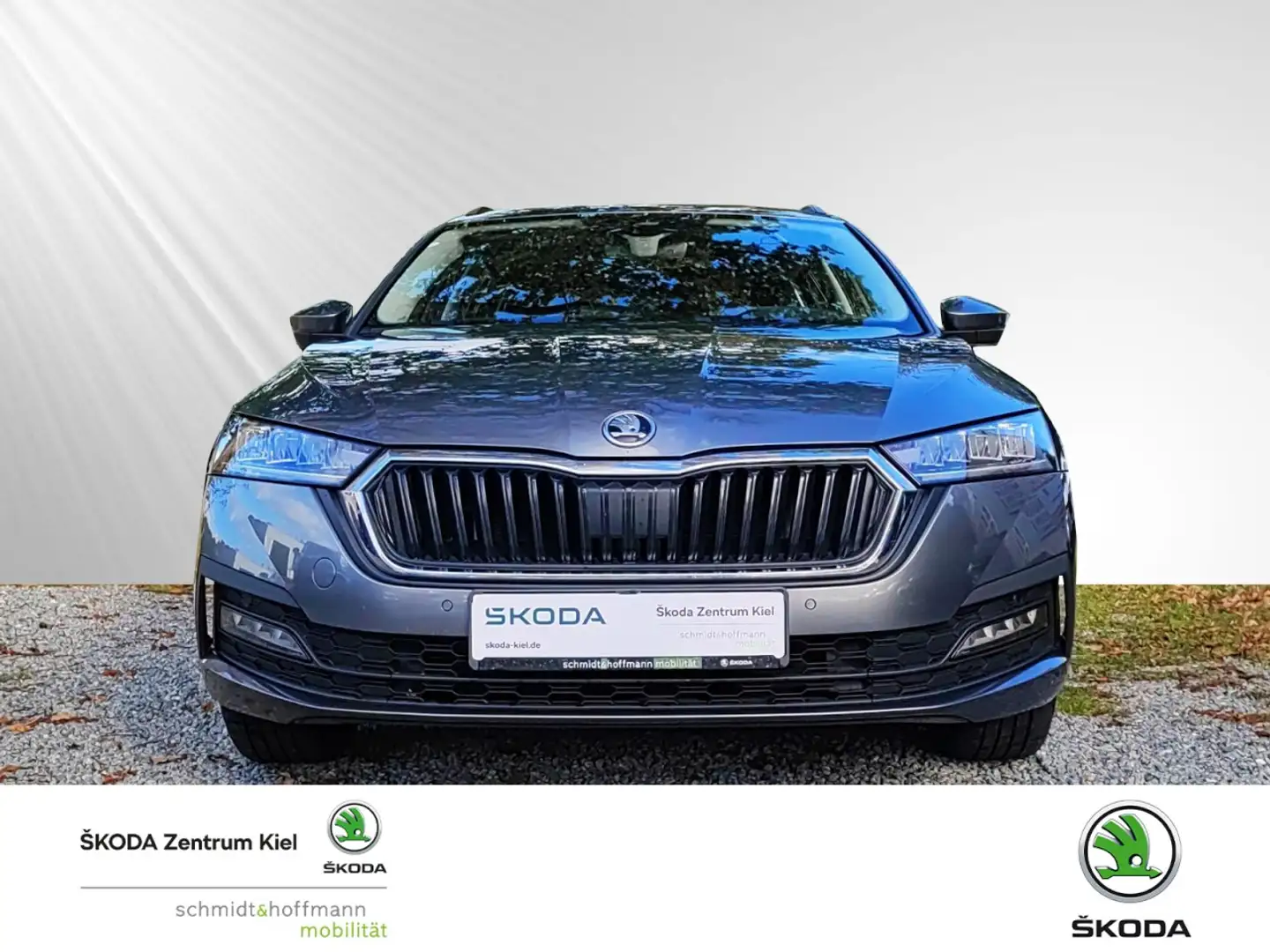 Skoda Octavia Combi 2.0 TDI DPF Ambition (EURO 6d) Klima Grau - 2