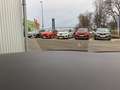 Volkswagen Tiguan 2.0 TDI 4Motion DSG Elegance RFK+ACC+AHK Braun - thumbnail 39