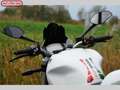 Ducati Monster 797 Wit - thumbnail 15