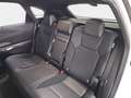 Lexus RX 450h 500h F Sport Weiß - thumbnail 10