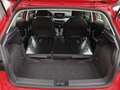 SEAT Ibiza Reference 1.0 Rot - thumbnail 11