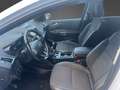 Ford Kuga 2,0 TDCi Titanium Start/Stop, 6 Schaltgetriebe,... Blanc - thumbnail 6