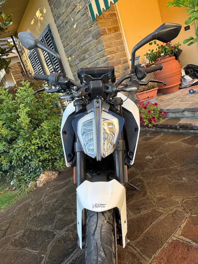 KTM 125 Duke Bianco - 1