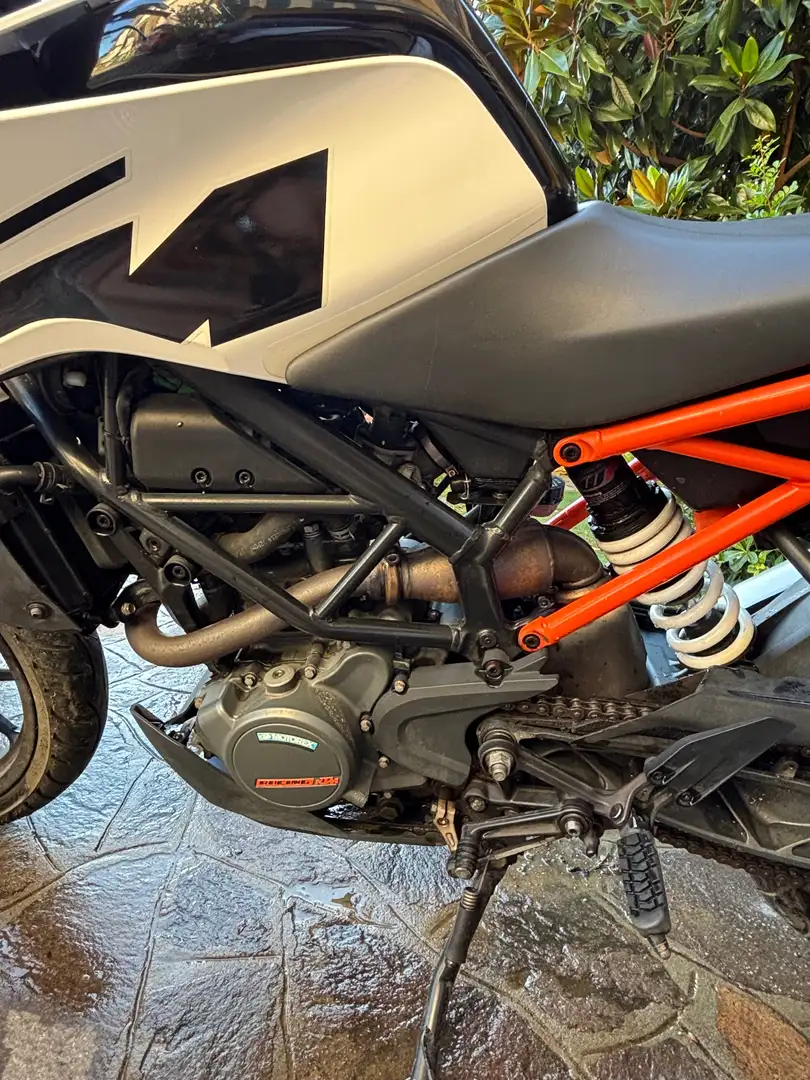 KTM 125 Duke Bianco - 2