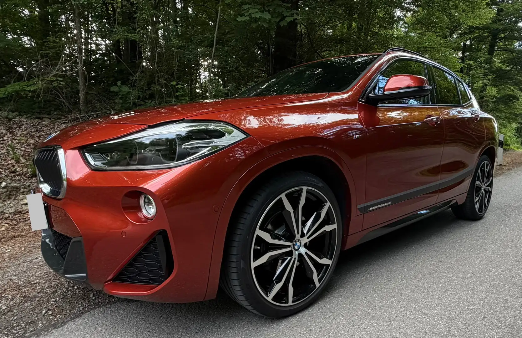 BMW X2 xDrive18d M Sport | Panoramadach | Sportlenkung | AHK Orange - 1