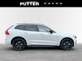 Volvo XC60 Recharge T6 AWD Plus Black Edition 21'' ACC Panora Weiß - thumbnail 6