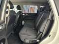 SsangYong Rexton D22 DTR Premium 4x4 Aut. Blanco - thumbnail 8