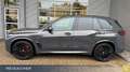 BMW X5 xDrive50e A M-Sport,M-Sport PRO,SkyLou,AHK,DA Grau - thumbnail 7