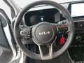 Kia Picanto PICANTO 1.2 VISION MJ25 SITZH. NAVI KAMERA Argento - thumbnail 14