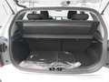 Kia Picanto PICANTO 1.2 VISION MJ25 SITZH. NAVI KAMERA Argento - thumbnail 15