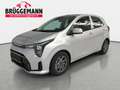 Kia Picanto PICANTO 1.2 VISION MJ25 SITZH. NAVI KAMERA Argento - thumbnail 1