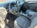 Ford Kuga 2,5 Duratec PHEV Cool Grau - thumbnail 9