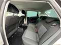 SEAT Ibiza 1.6 TDI 105 FAP Sport Blanc - thumbnail 10