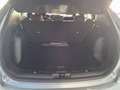 Ford Kuga 2.5 Duratec FHEV ST-Line 4x2 Aut. Gris - thumbnail 21
