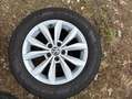 Volkswagen Polo VI Highline 1.6 TDI DSG*8 FACH*NAVI*KLIMA* Weiß - thumbnail 8
