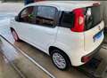 Fiat Panda 1.3 mjt 16v Easy s&s 80cv Bianco - thumbnail 1