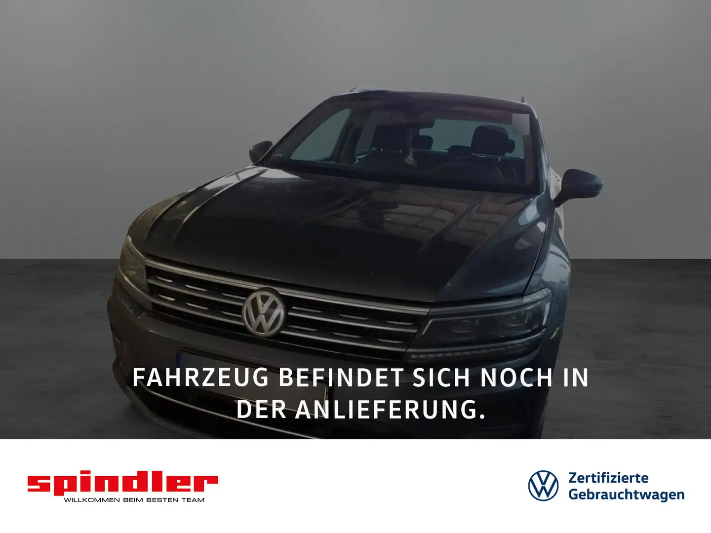 Volkswagen Tiguan Highline 2.0TDI 4M DSG / Pano, Navi, 360° Grau - 1