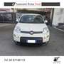 Fiat Panda Panda 1.0 firefly hybrid Sport s Blanc - thumbnail 2
