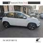 Fiat Panda Panda 1.0 firefly hybrid Sport s Blanc - thumbnail 11