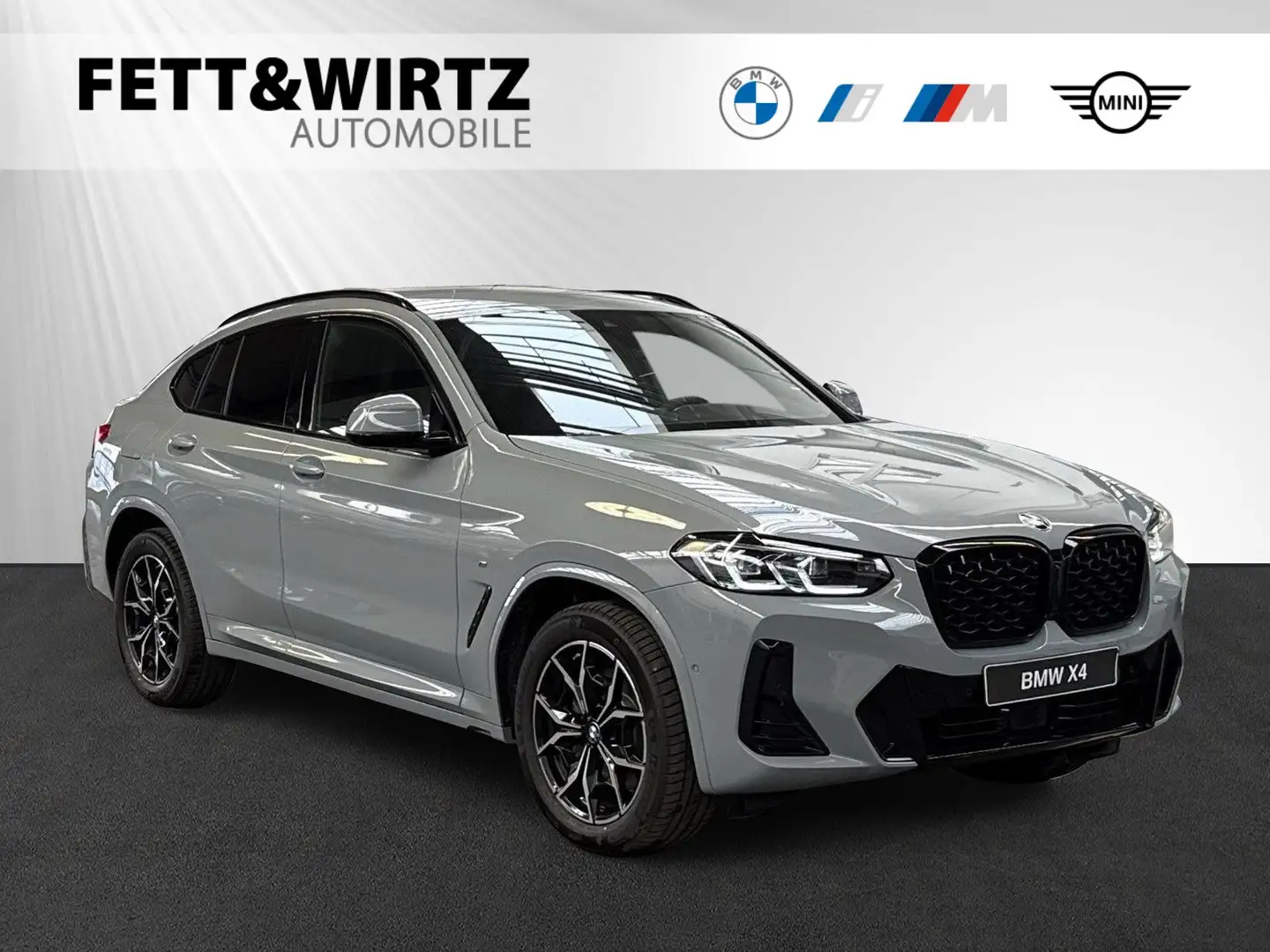 BMW X4 xDrive30i 19"|M Sport|LED|SHZ|HiFi Gris - 1