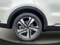 Kia Sorento 1.6 T-GDI Hybrid 4WD Platinum 7 Sitze He Weiß - thumbnail 19