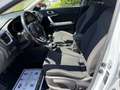 Kia Ceed SW / cee'd SW ceed SW 1,0 T-GDI GPF ISG Silber Weiß - thumbnail 10