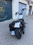 Harley-Davidson Street Bob 114 Anno 2021 Bianco - thumbnail 8