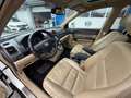 Honda CR-V Executive/Automatik/4x4/AHK/Xenon Weiß - thumbnail 11