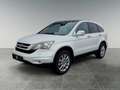 Honda CR-V Executive/Automatik/4x4/AHK/Xenon Weiß - thumbnail 1