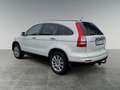 Honda CR-V Executive/Automatik/4x4/AHK/Xenon Weiß - thumbnail 7
