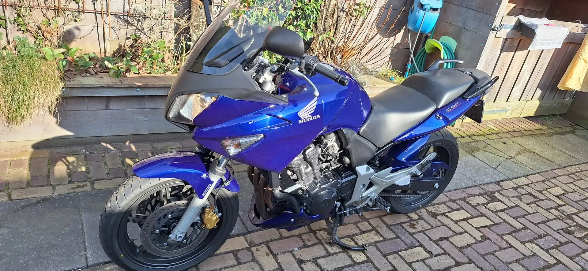 Honda CBF 600 Sa Albastru - 1