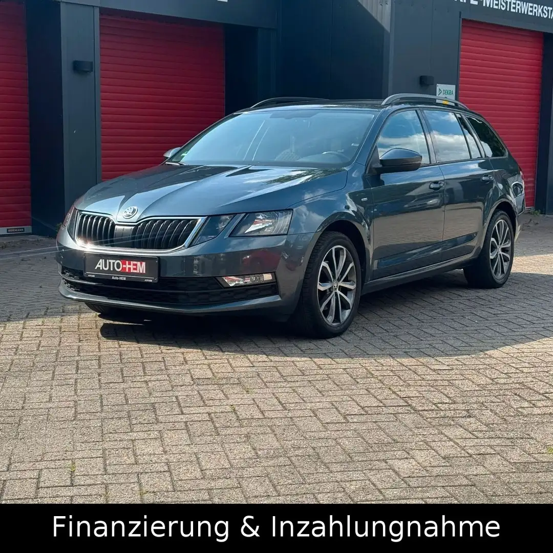 Skoda Octavia Drive 4x4 ACC Kamera AppleCar AHK Gris - 1
