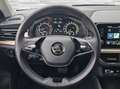 Skoda Kamiq 1,0 TSI Style DSG Grau - thumbnail 11