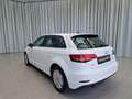 Audi A3 Sportback 30 TDI PDC Xenon Weiß - thumbnail 6