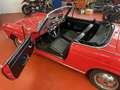 Fiat Barchetta 1500 Cabriolet ASI 1964 Rosso - thumbnail 13