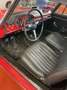Fiat Barchetta 1500 Cabriolet ASI 1964 Rosso - thumbnail 7