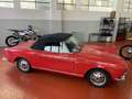 Fiat Barchetta 1500 Cabriolet ASI 1964 Rosso - thumbnail 3