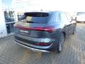 Audi e-tron 55 quattro 300KW S line *AHK*LED*PDC* Grau - thumbnail 6